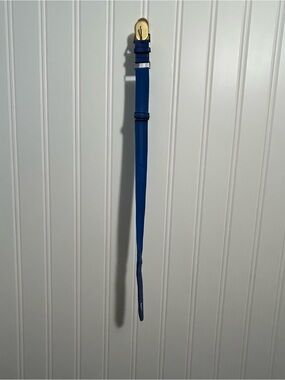 Nike adjustable belt blue elastic